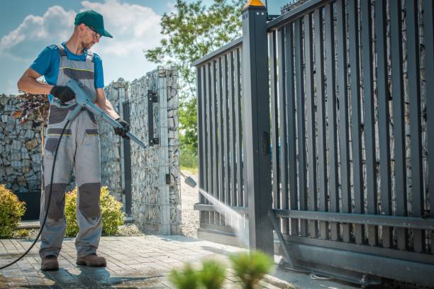 Best Rust Removal  in Alanes Ridge, CA